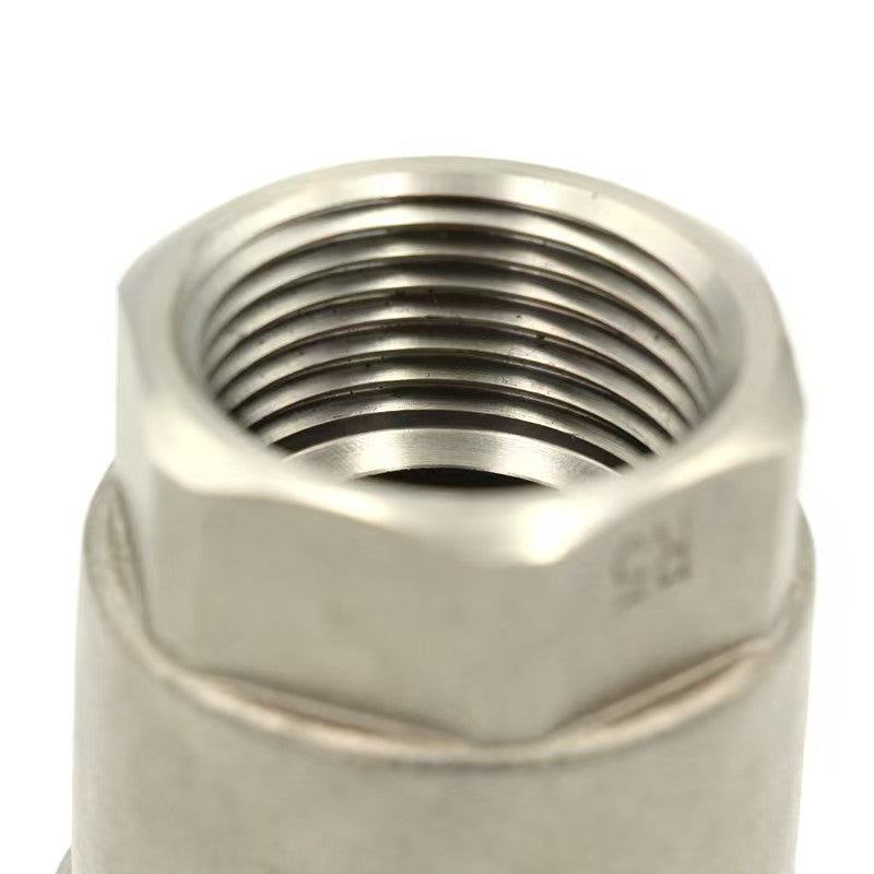 304 316 NPT BSP threaded check valve for oil