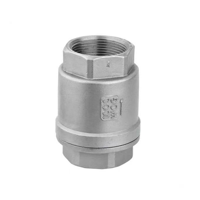 Check valve